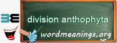 WordMeaning blackboard for division anthophyta